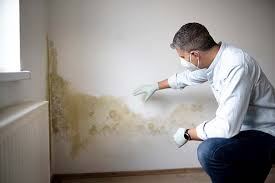 Best Real Estate Mold Inspection  in Egypt, PA